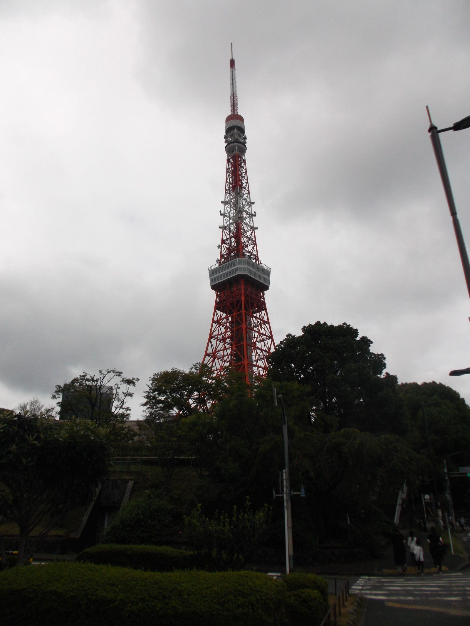 Tokyo Tower's red and white lattice rising above dark green trees under an overcast sky.